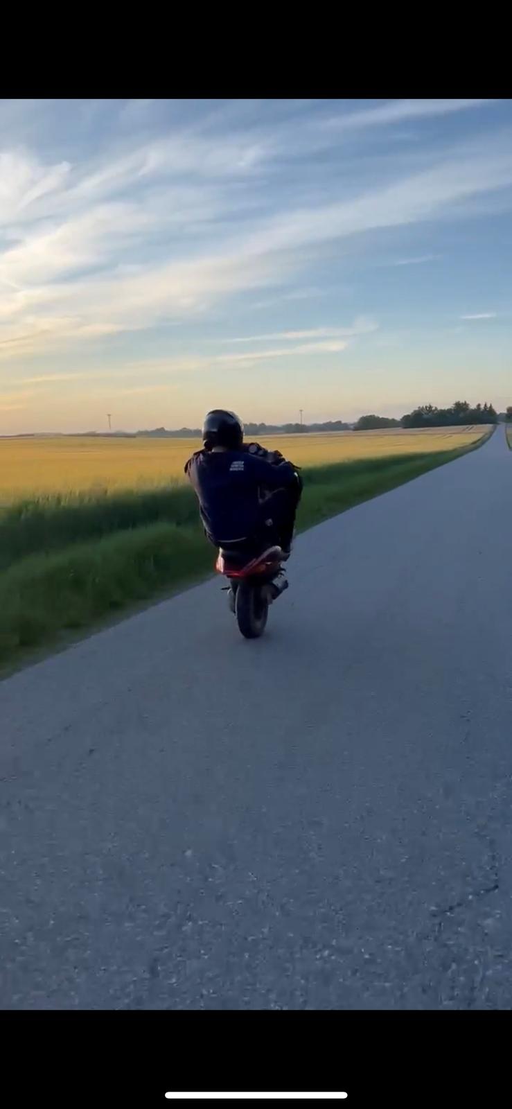 Gilera Stalker 50 (Solgt) billede 6