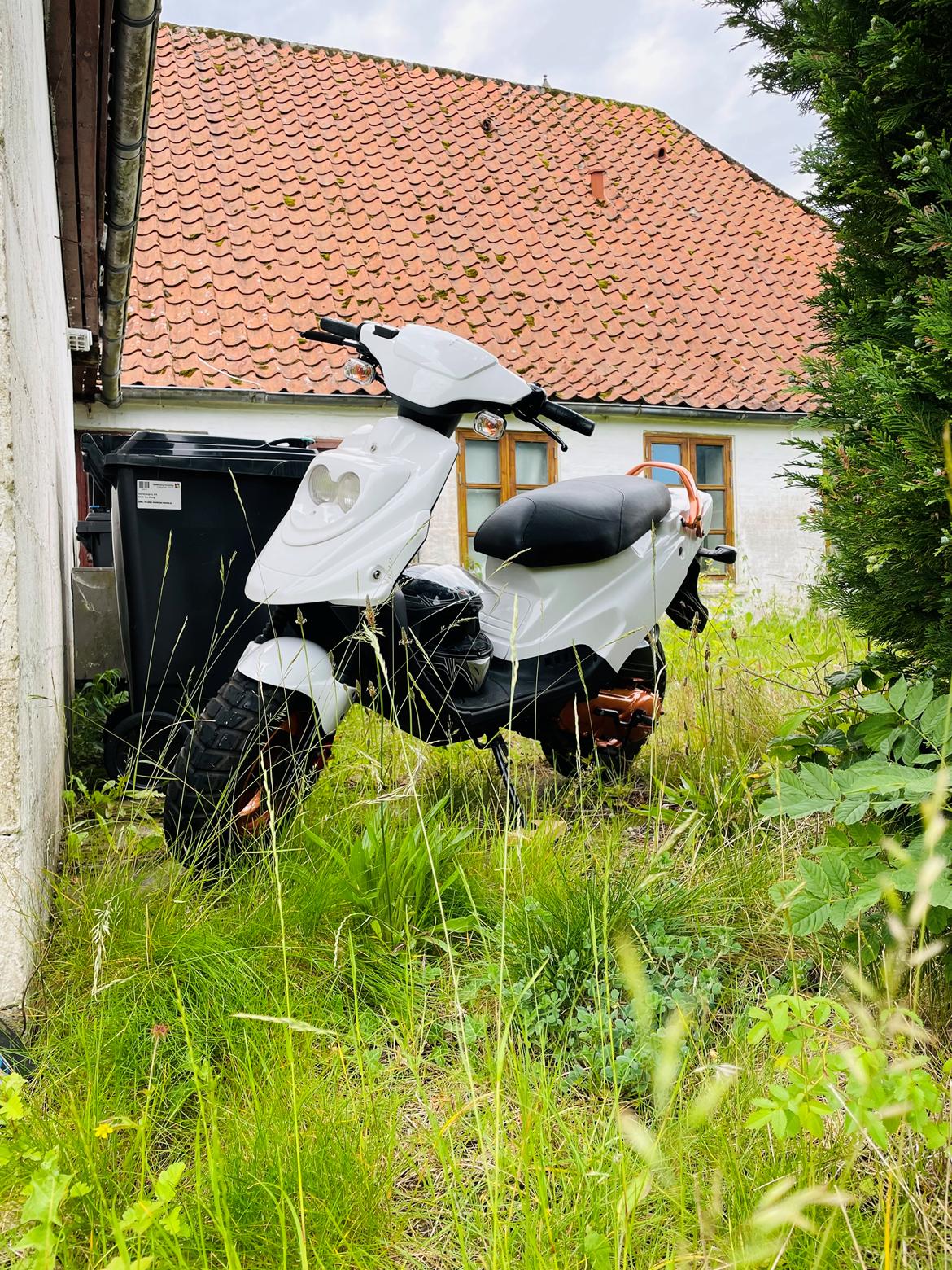 PGO Hot 50 (før pladeloven) billede 16