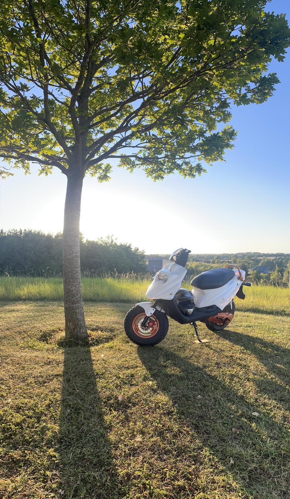 PGO Hot 50 (før pladeloven) billede 4