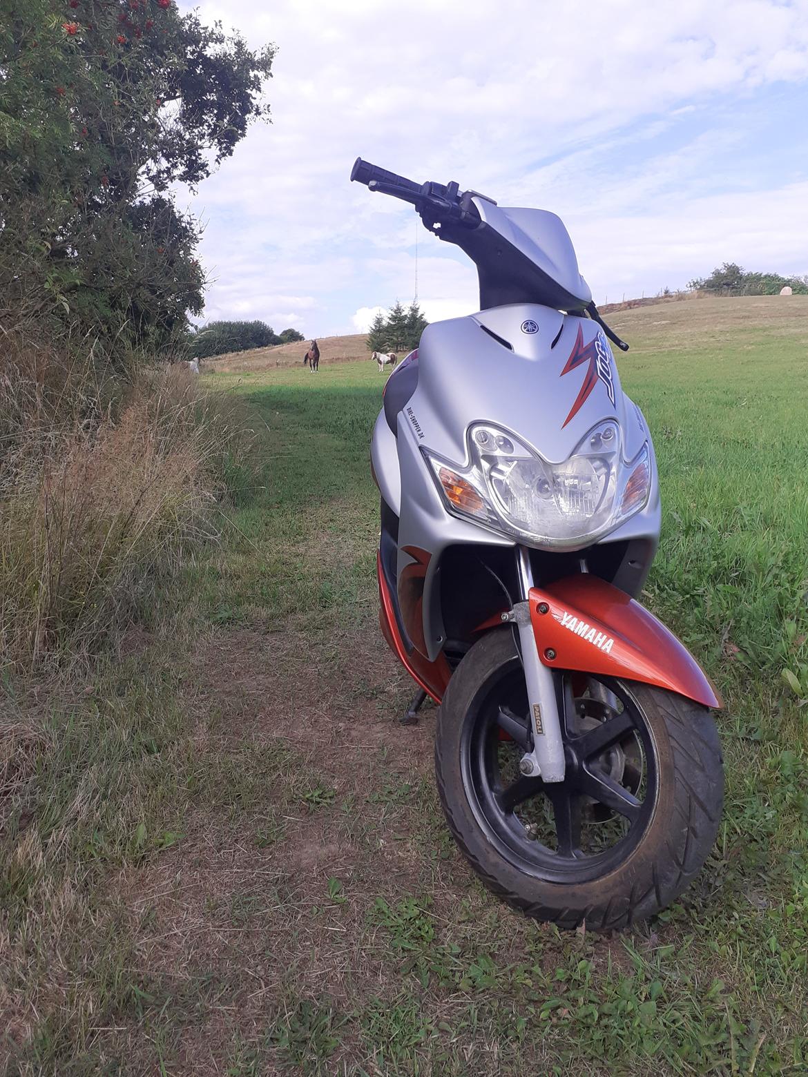 Yamaha Jog r - selv kødknallerterne i baggrunden er misundelige billede 17