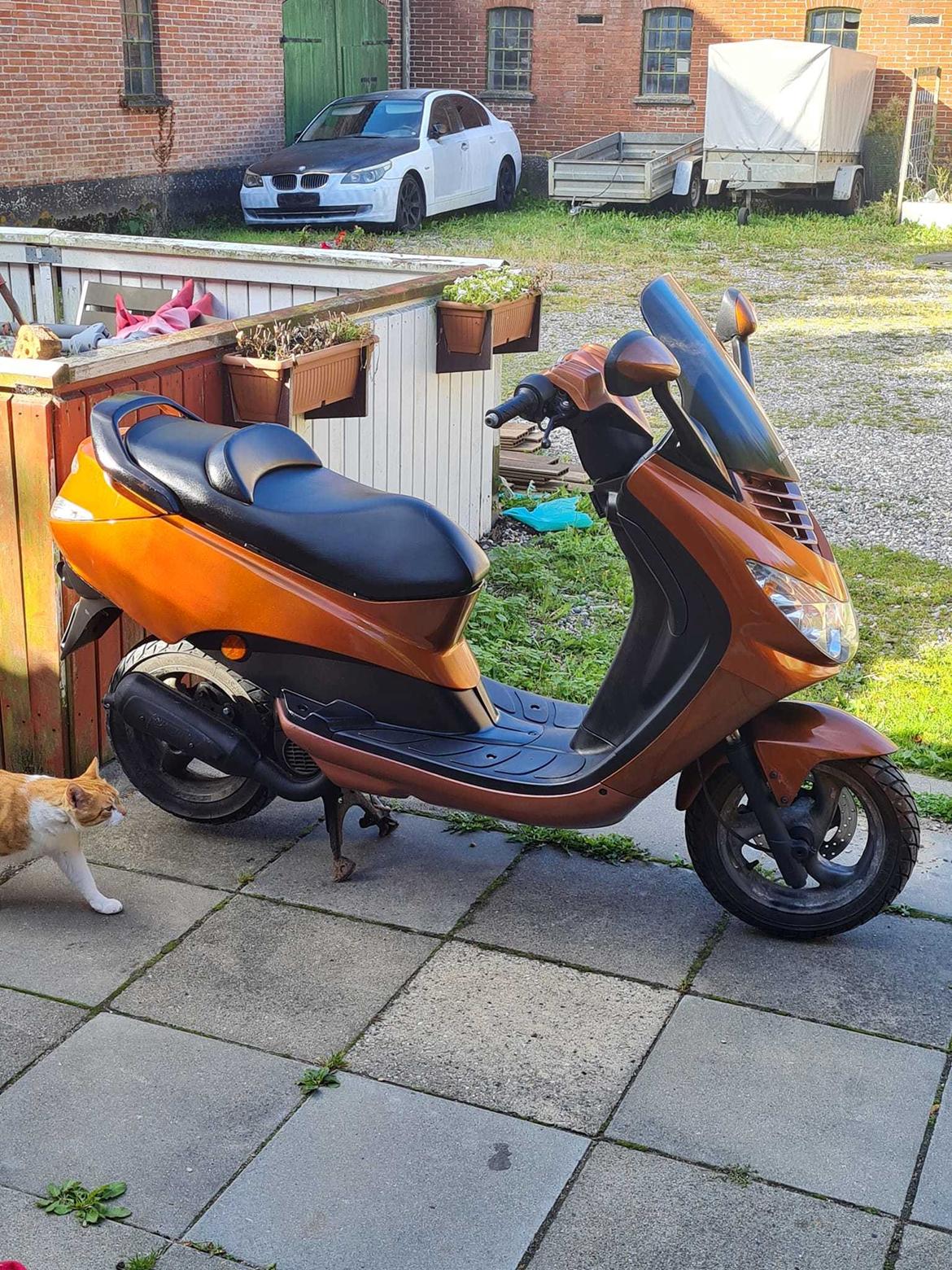 Peugeot elystar billede 6