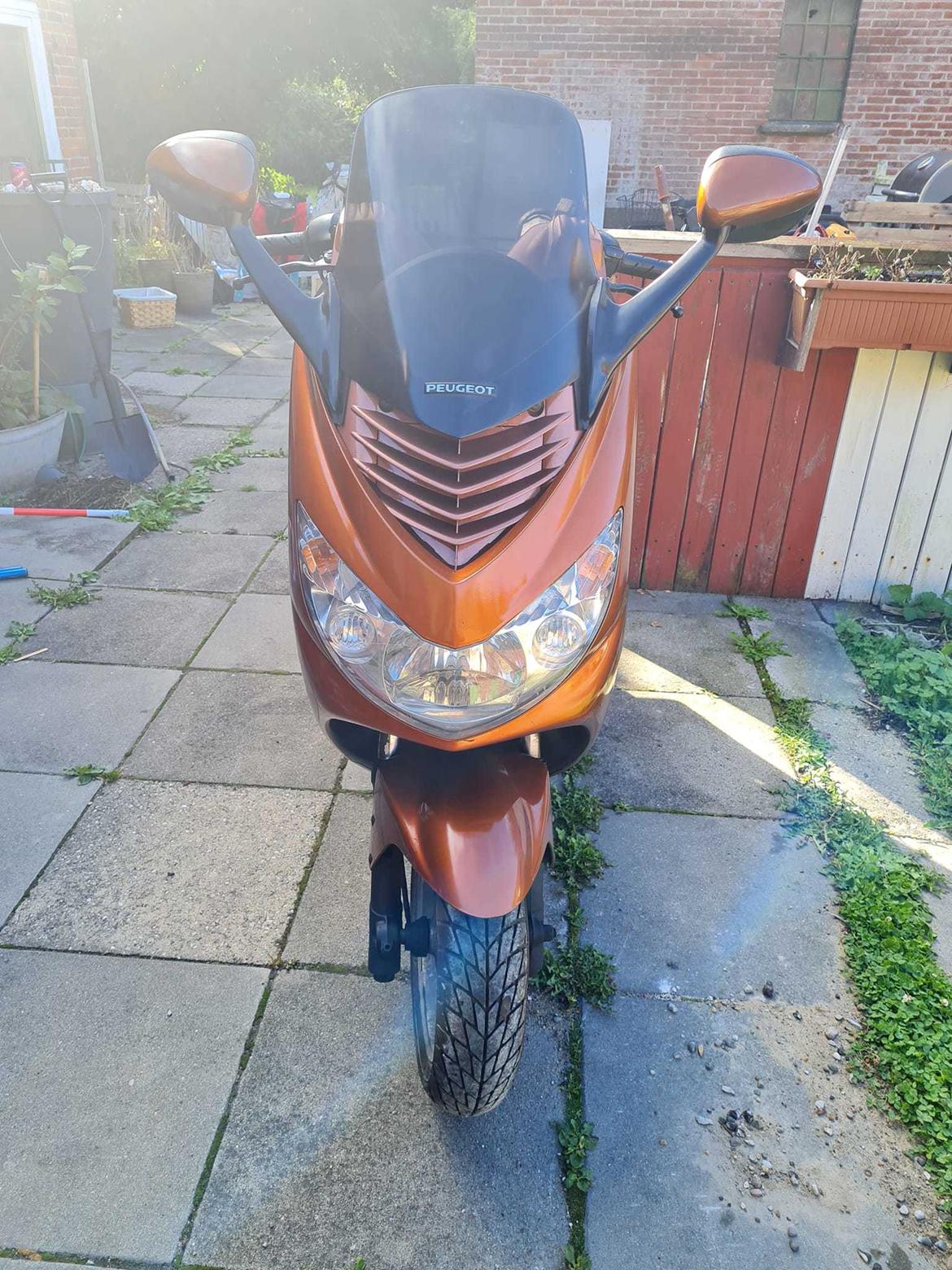 Peugeot elystar billede 5