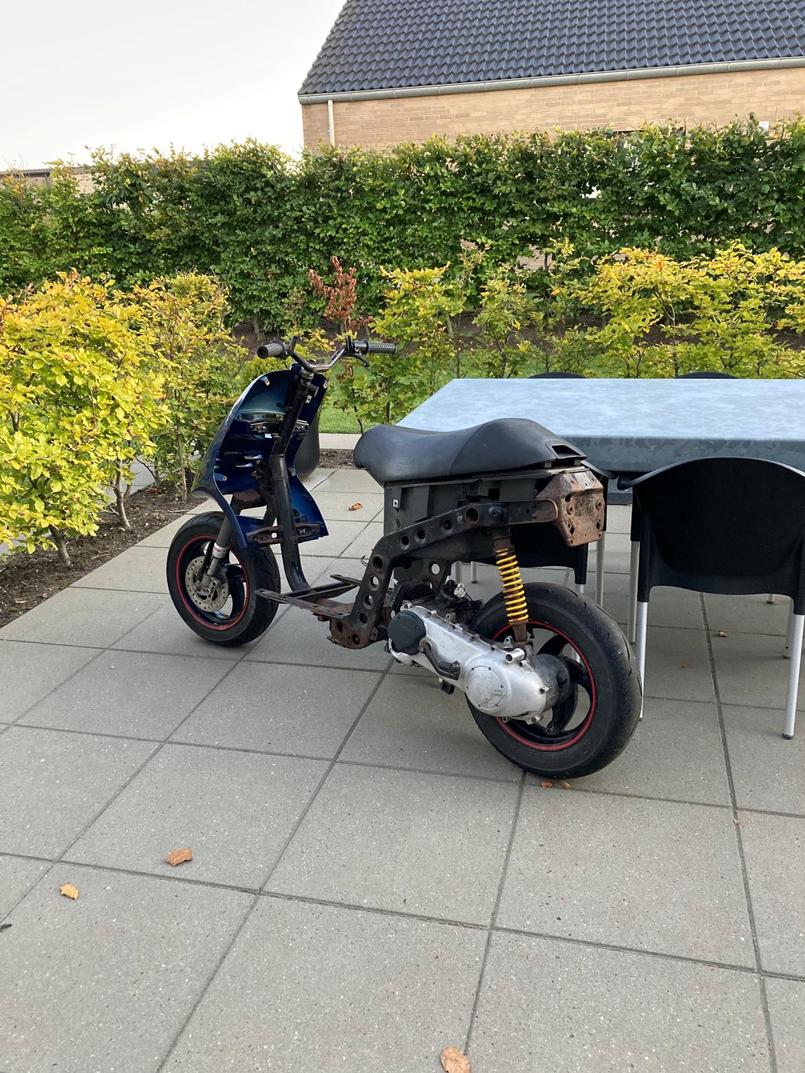 Piaggio typhoon billede 33