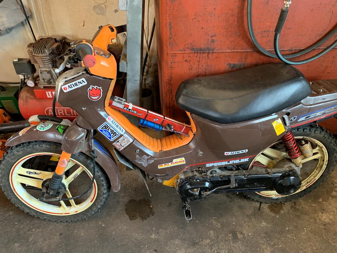 Honda Wallaroo  billede 2