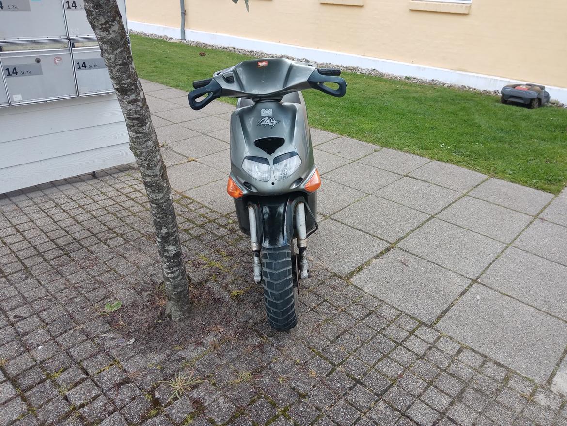 Aprilia Rally  billede 4