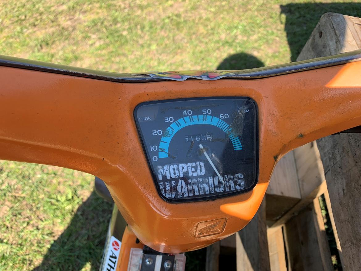 Honda Wallaroo  billede 18