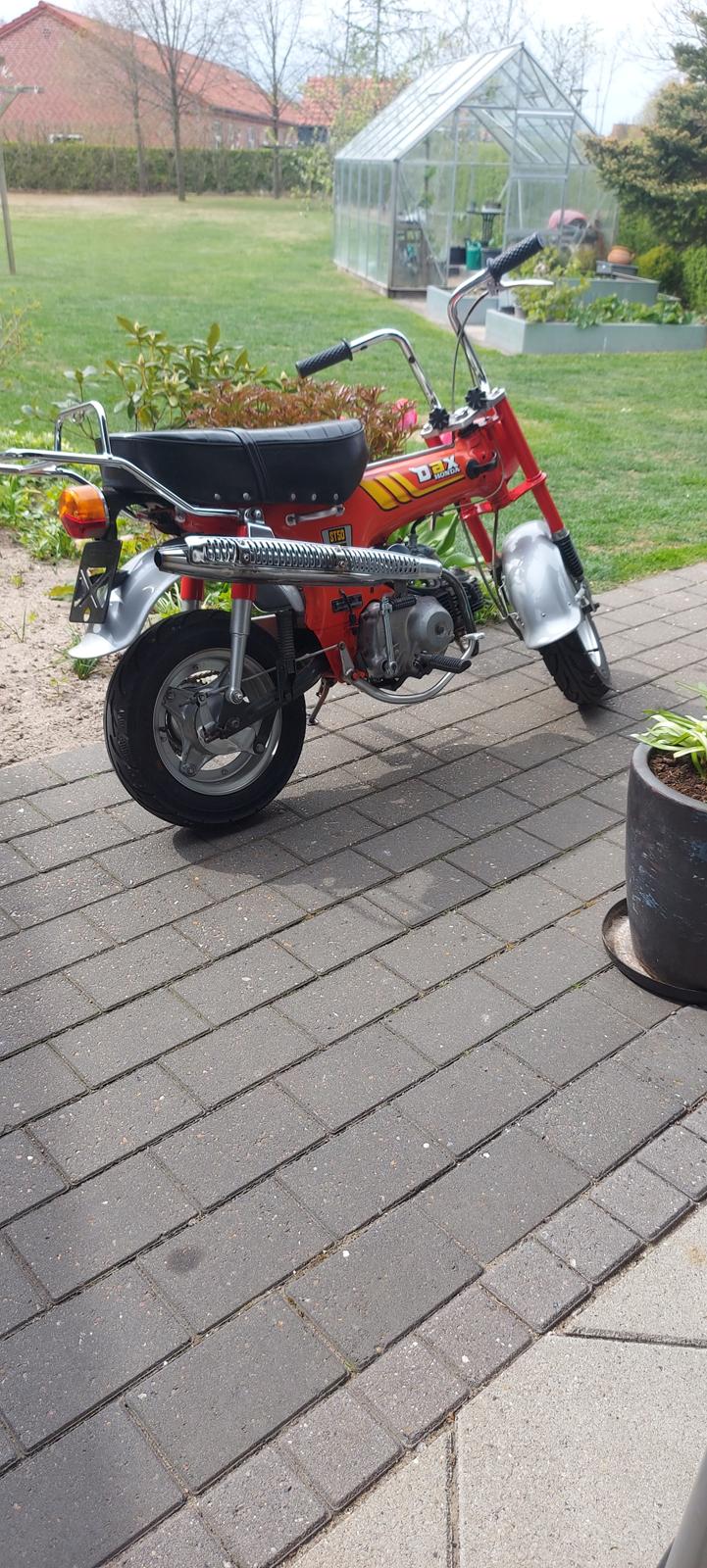 Honda Dax st50 billede 4