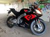 Aprilia RS 50 euro4