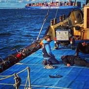 Honda Trilet  H 2000