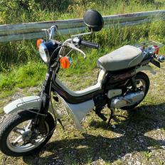 Suzuki Fz50