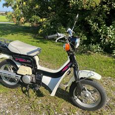 Suzuki Fz50