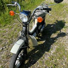 Suzuki Fz50