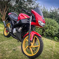 Aprilia Rs 50/tuono 