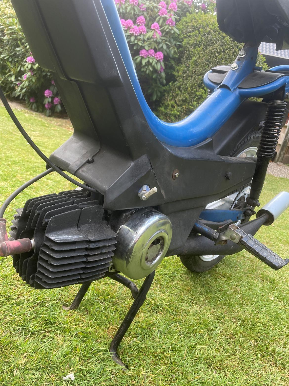 Puch Manet korado billede 7