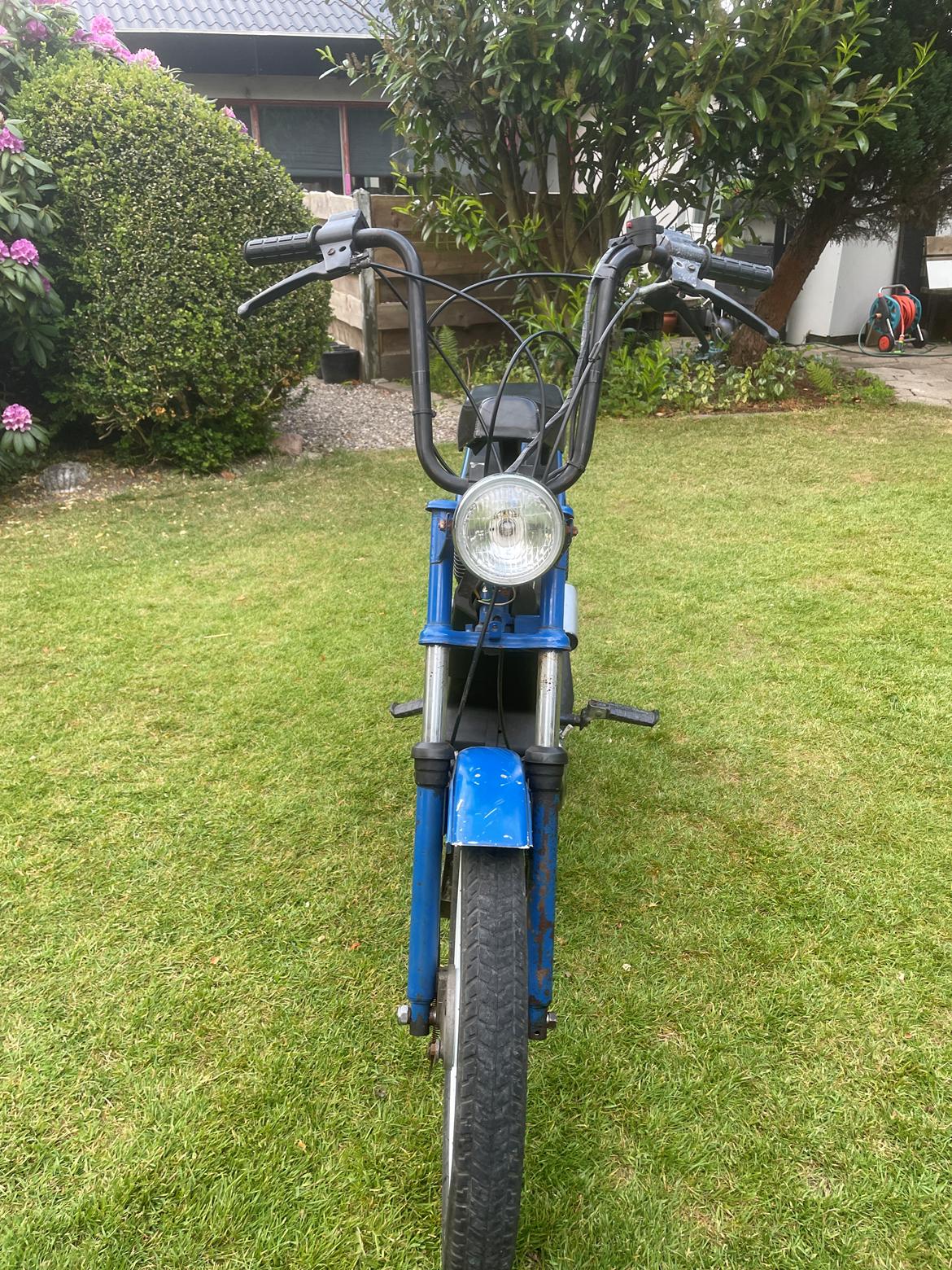 Puch Manet korado billede 8