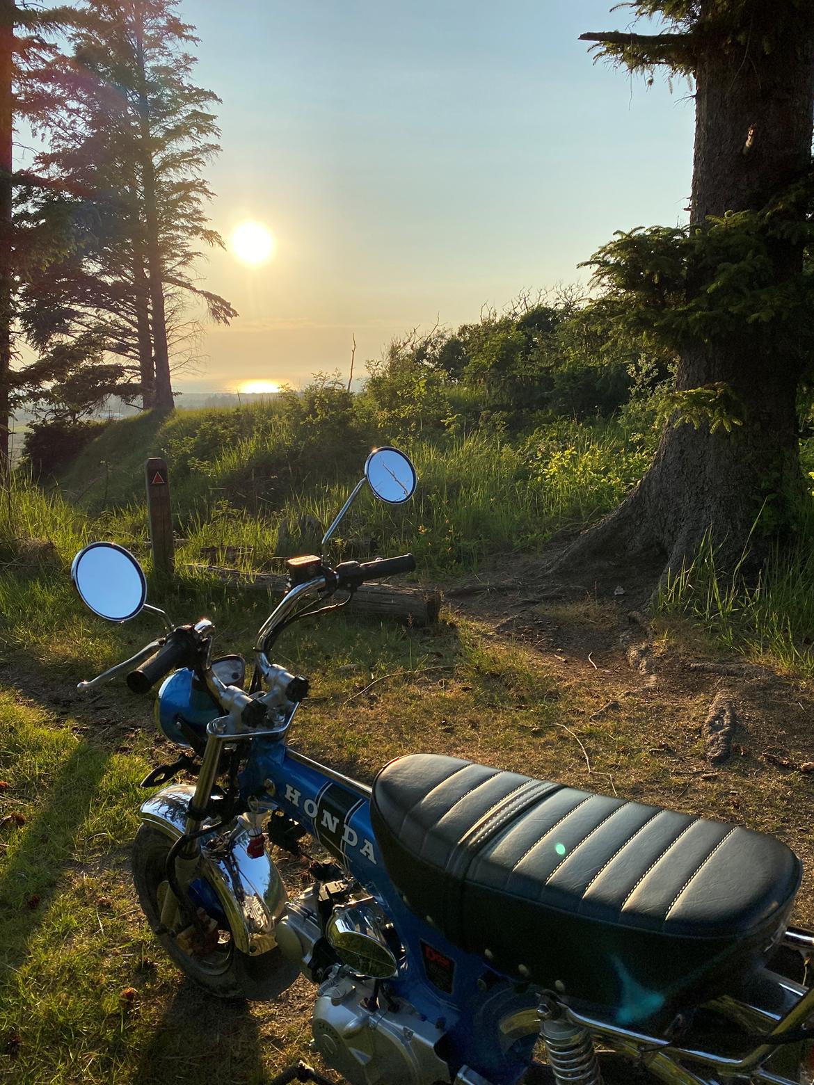 Skyteam Dax  billede 2