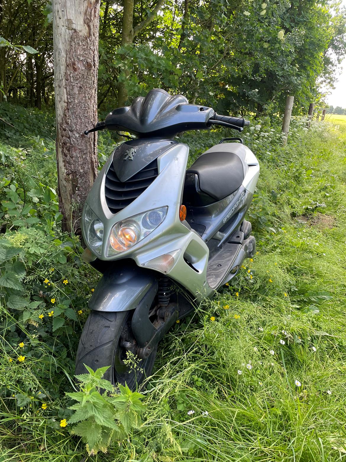 Peugeot Speedfight 2 AC (Solgt) billede 2
