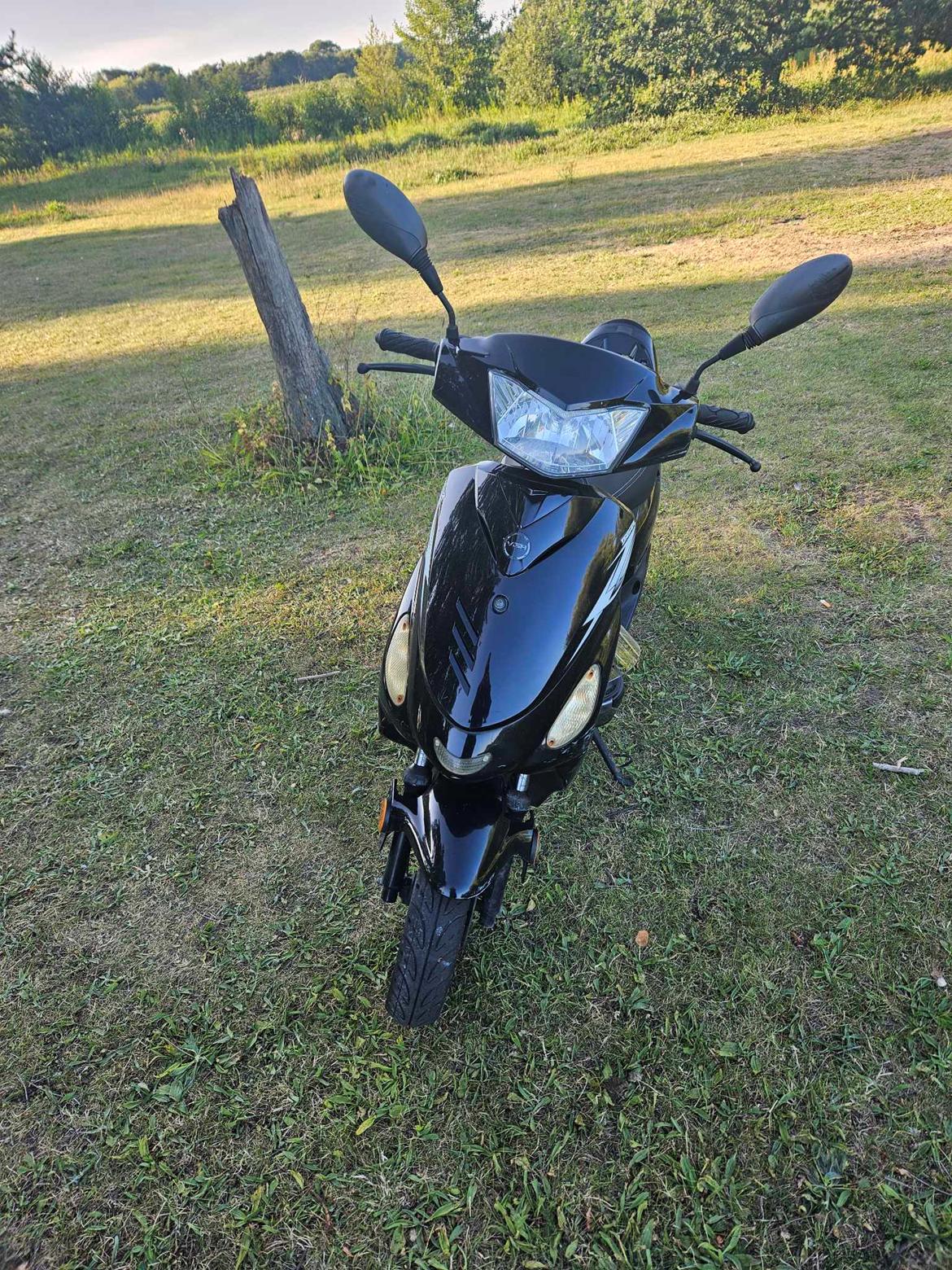 VGA Digita 50 2t billede 1