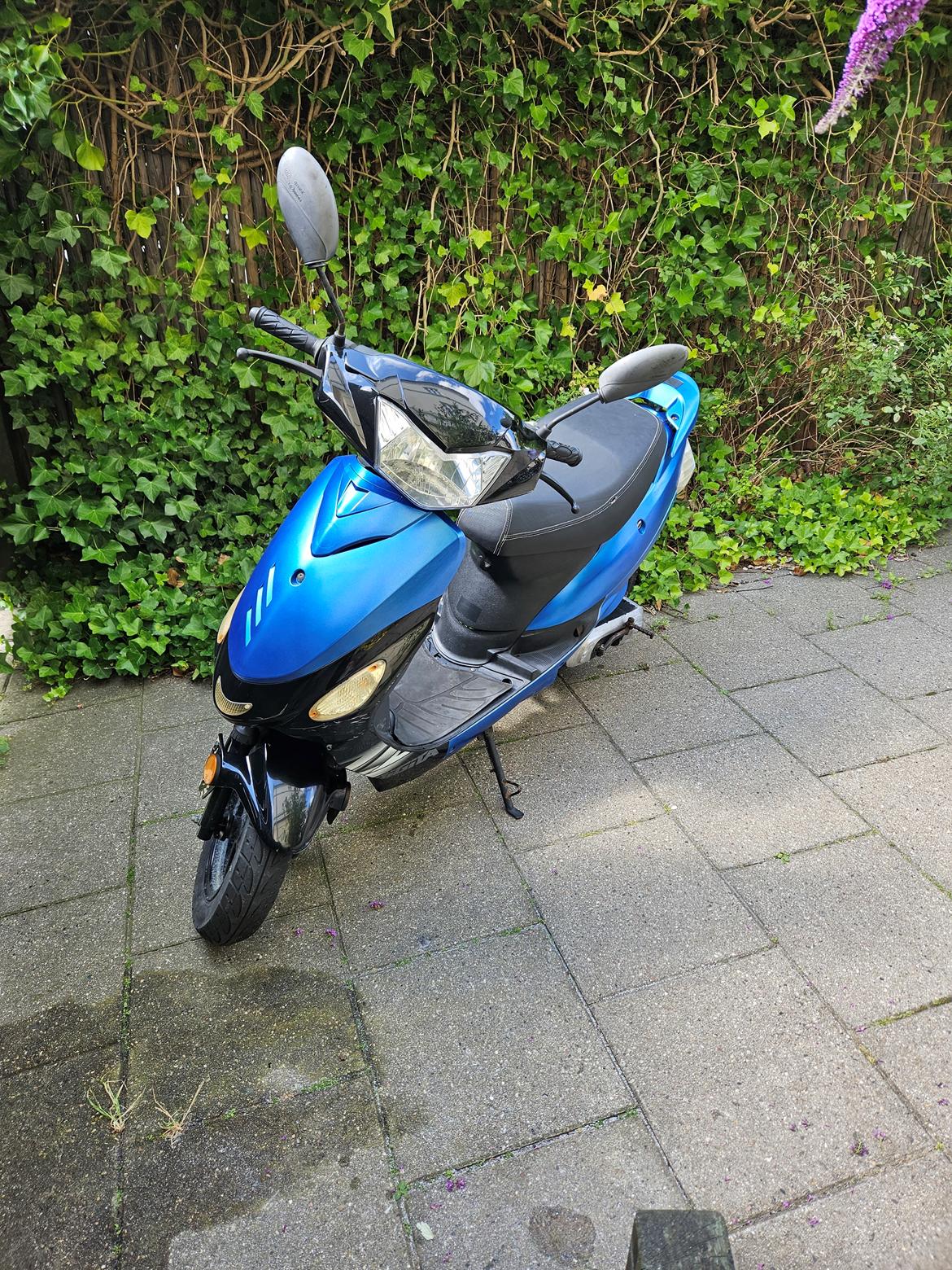 VGA Digita 50 2t billede 14