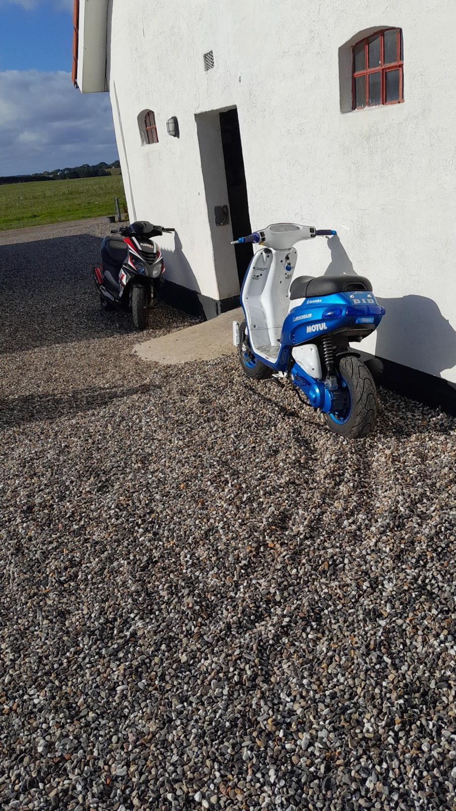 Piaggio Typhoon billede 4