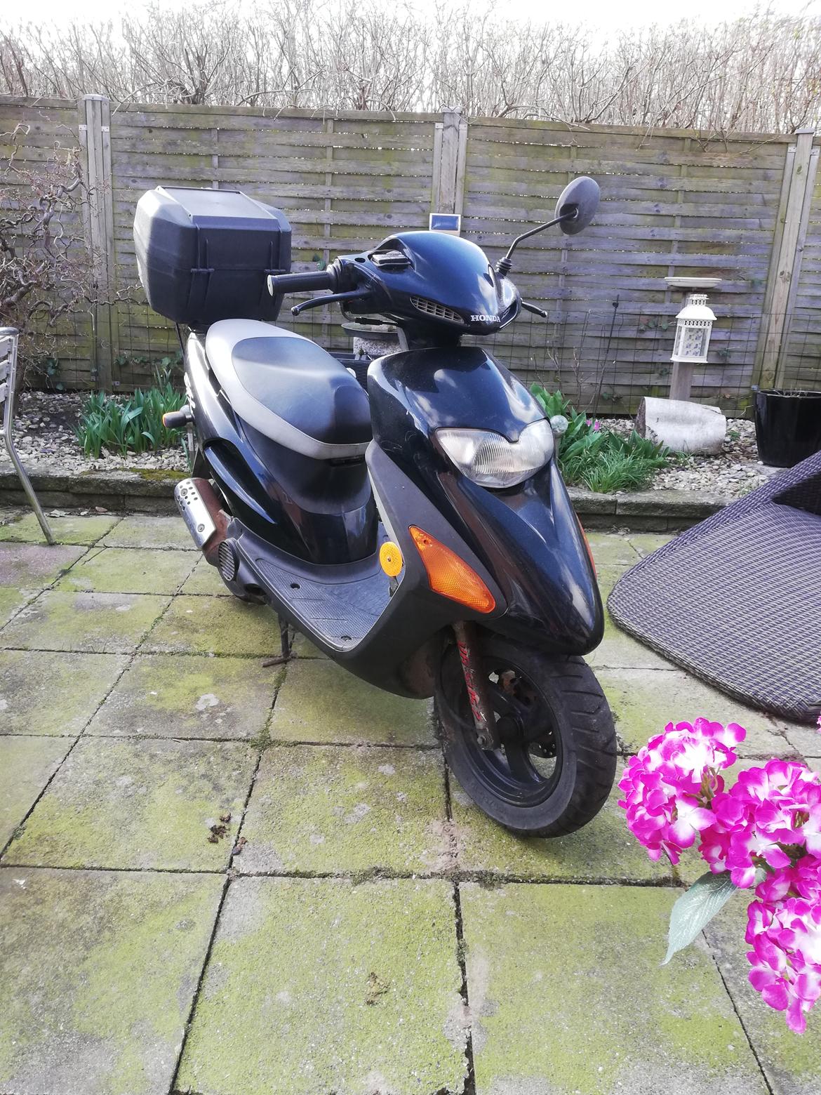 Honda SFX ( Solgt  ) billede 1