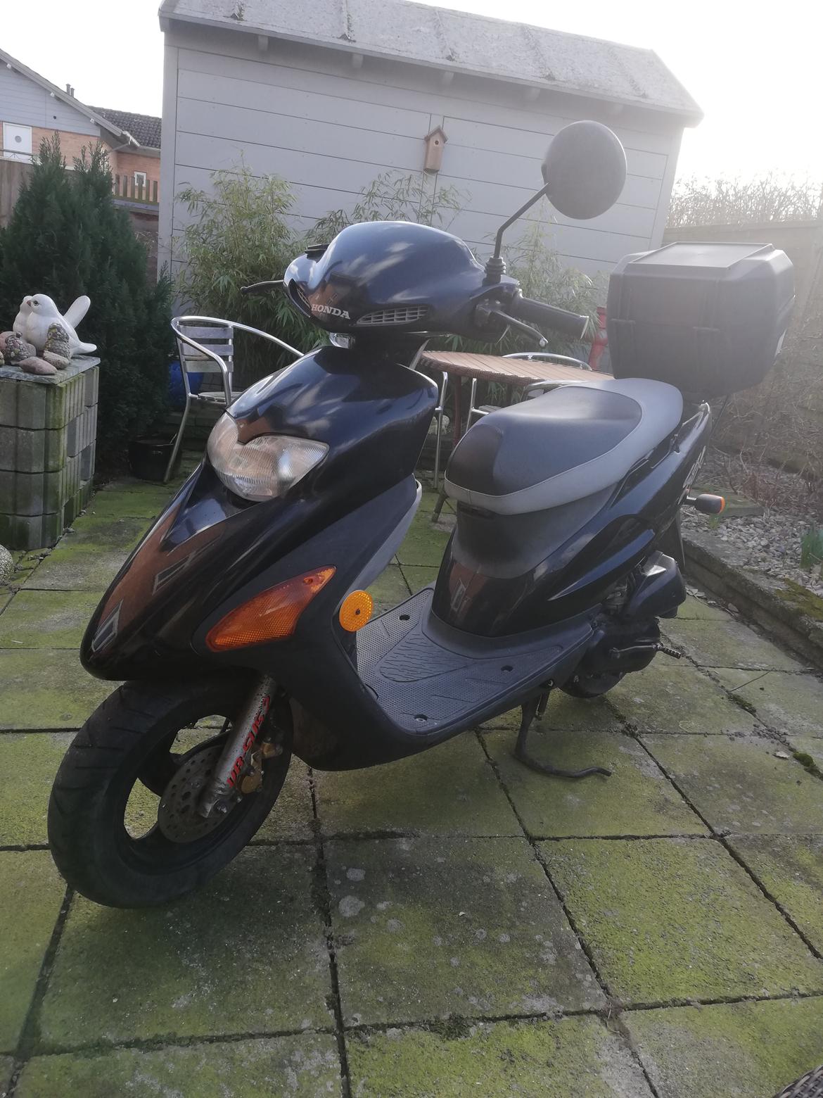 Honda SFX ( Solgt  ) billede 2