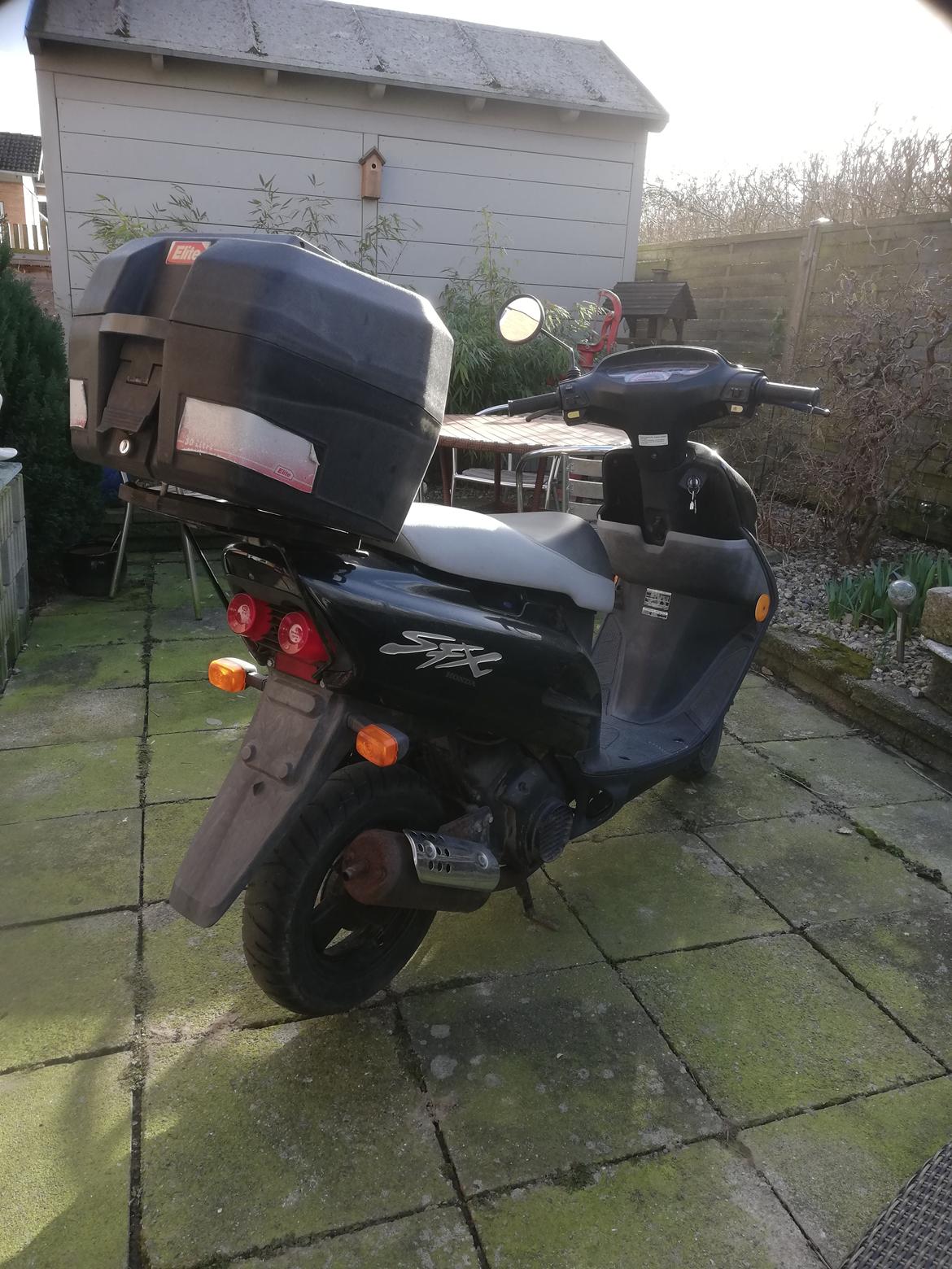 Honda SFX ( Solgt  ) billede 3