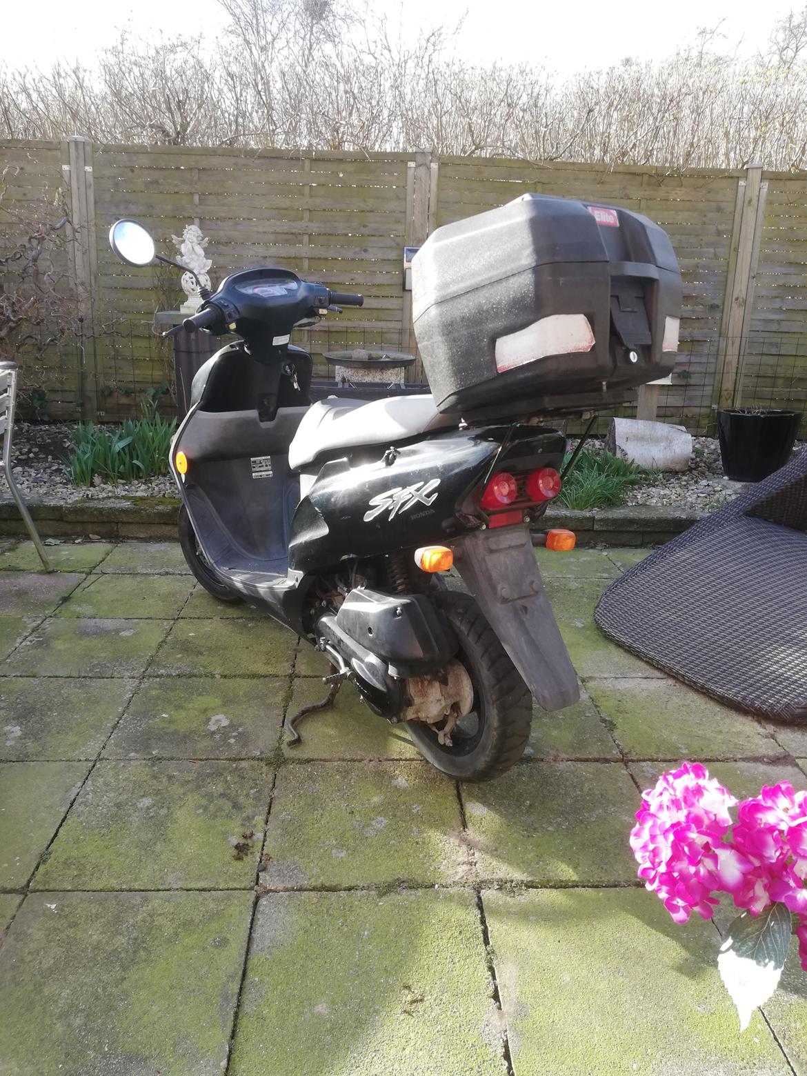 Honda SFX ( Solgt  ) billede 4