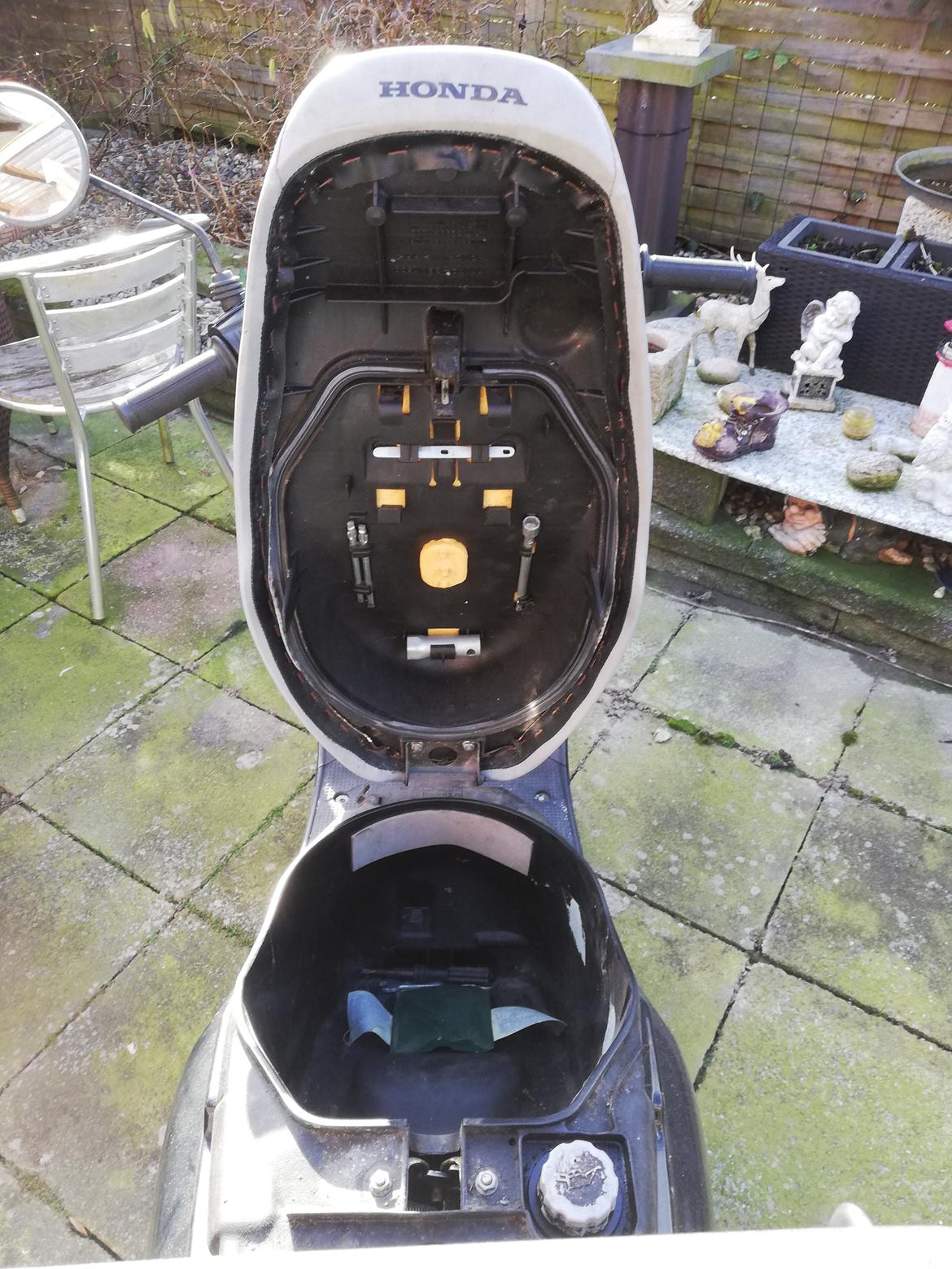 Honda SFX ( Solgt  ) billede 5