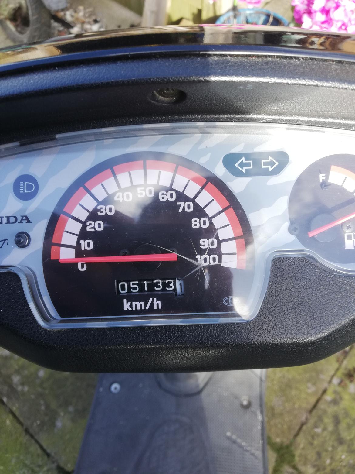 Honda SFX ( Solgt  ) billede 7