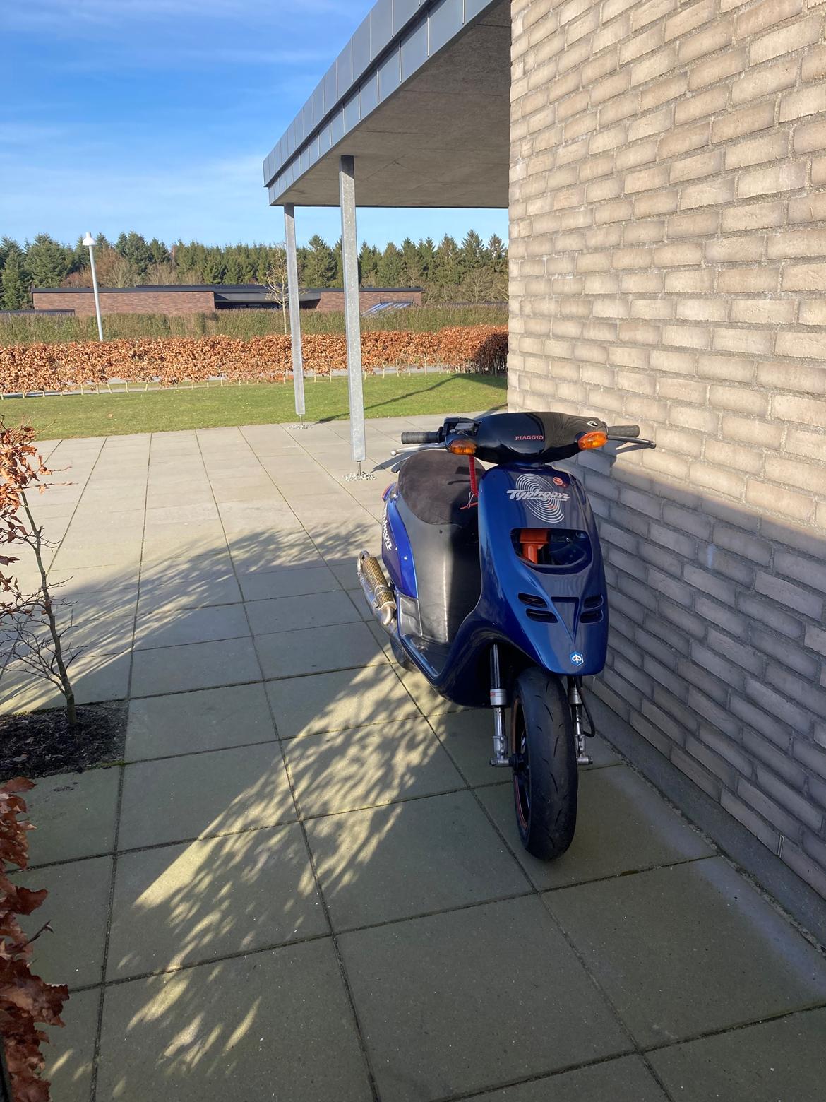 Piaggio typhoon billede 12