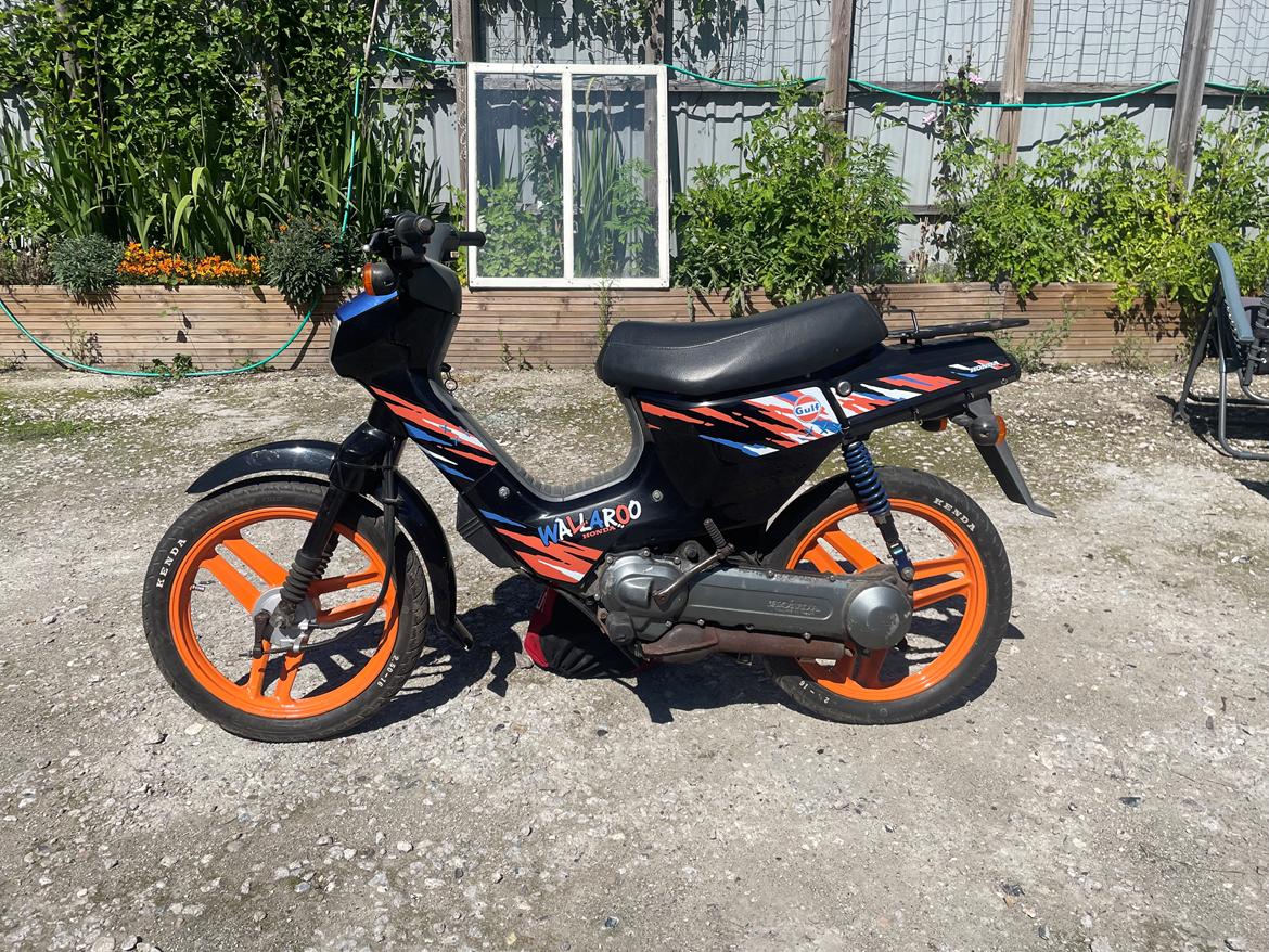 Honda Wallaroo PK50 Gulf billede 2