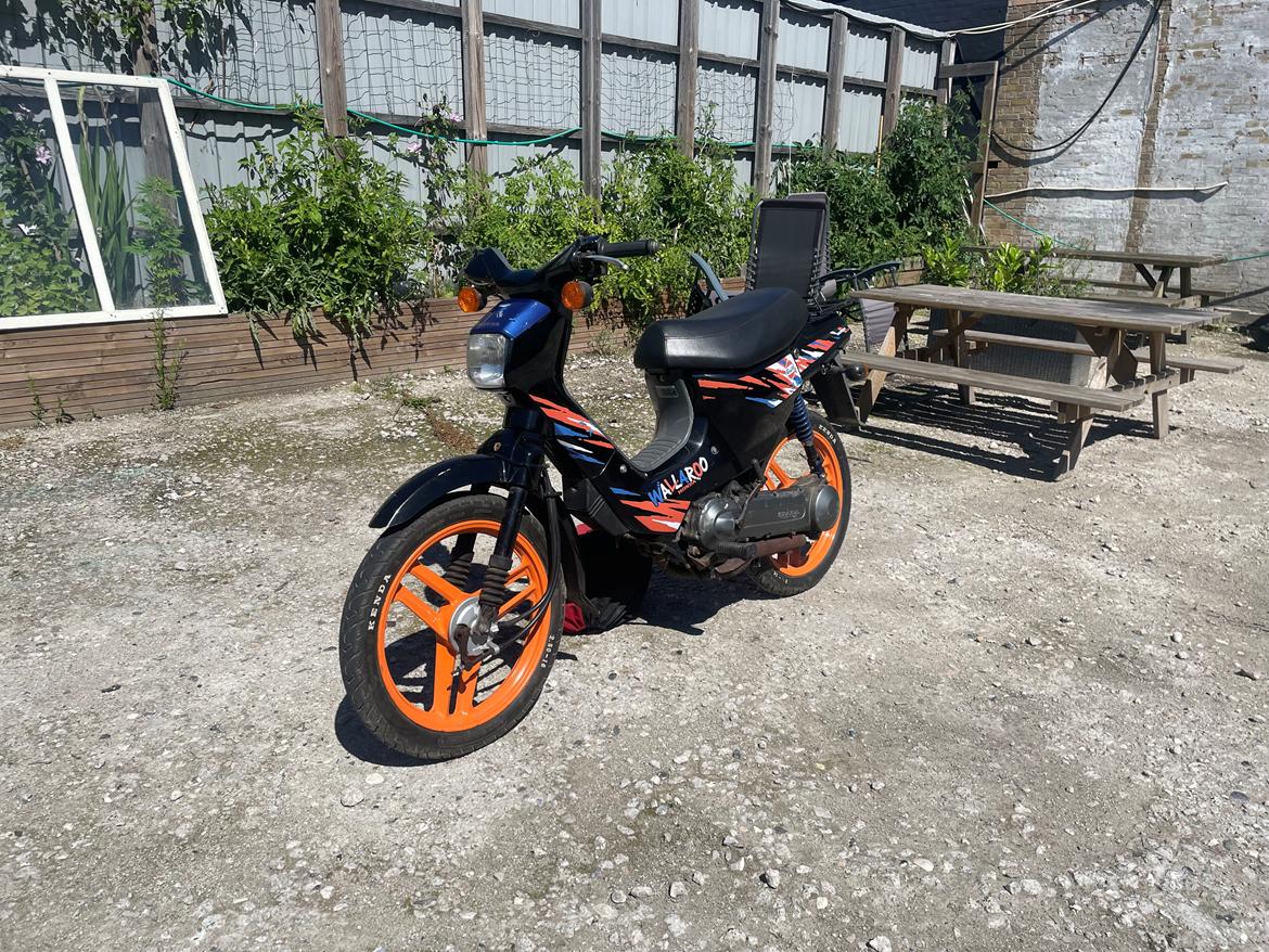 Honda Wallaroo PK50 Gulf billede 3