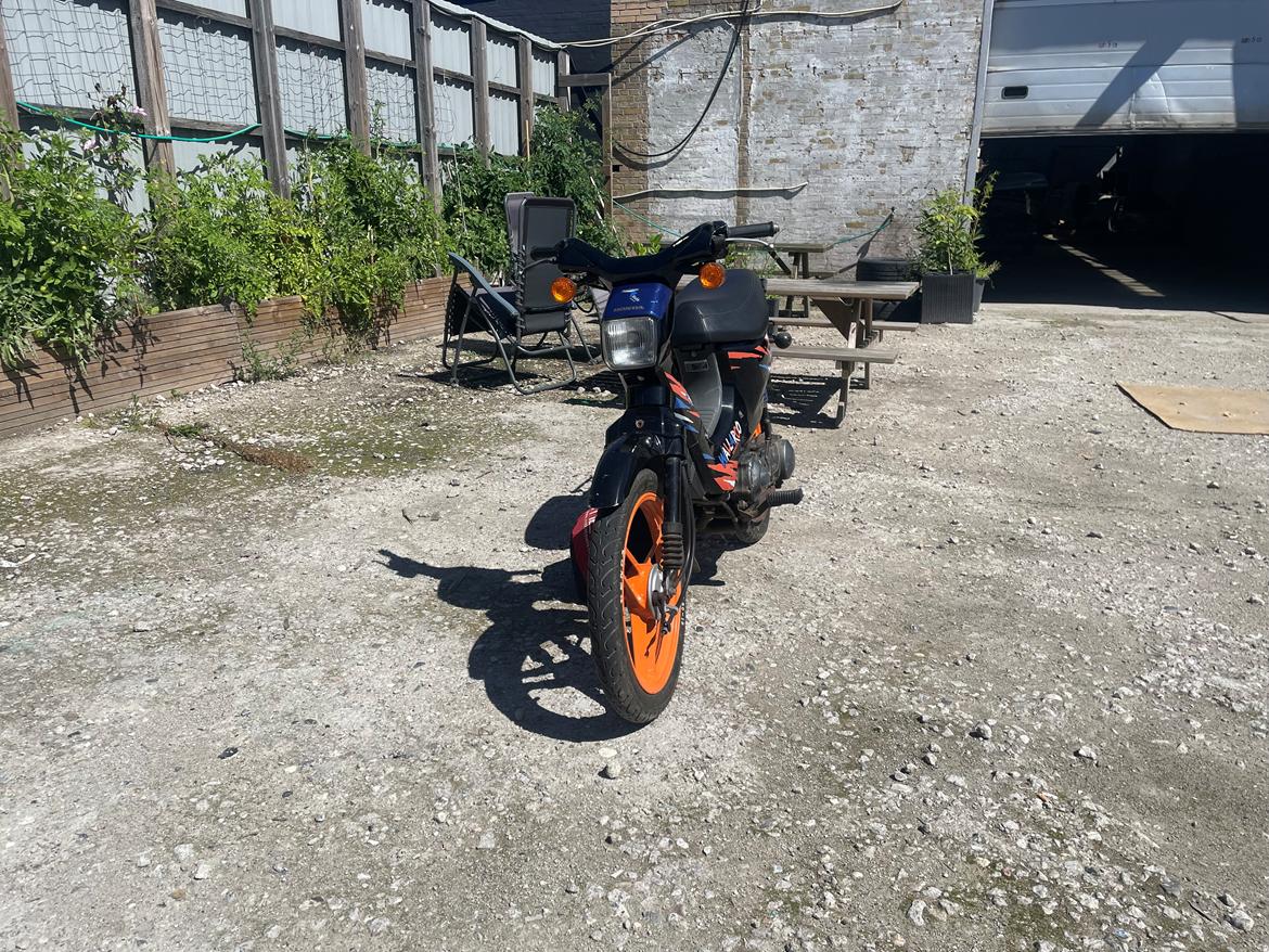 Honda Wallaroo PK50 Gulf billede 4