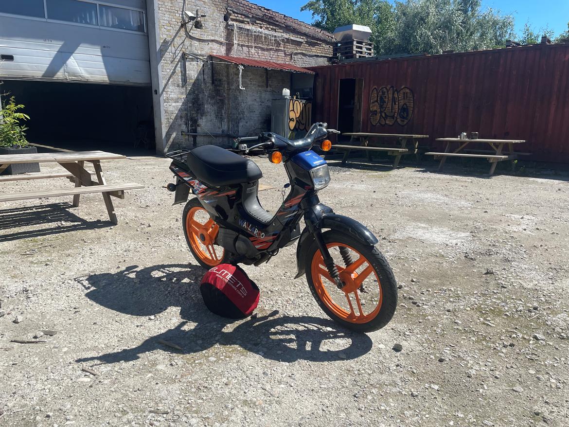 Honda Wallaroo PK50 Gulf billede 5