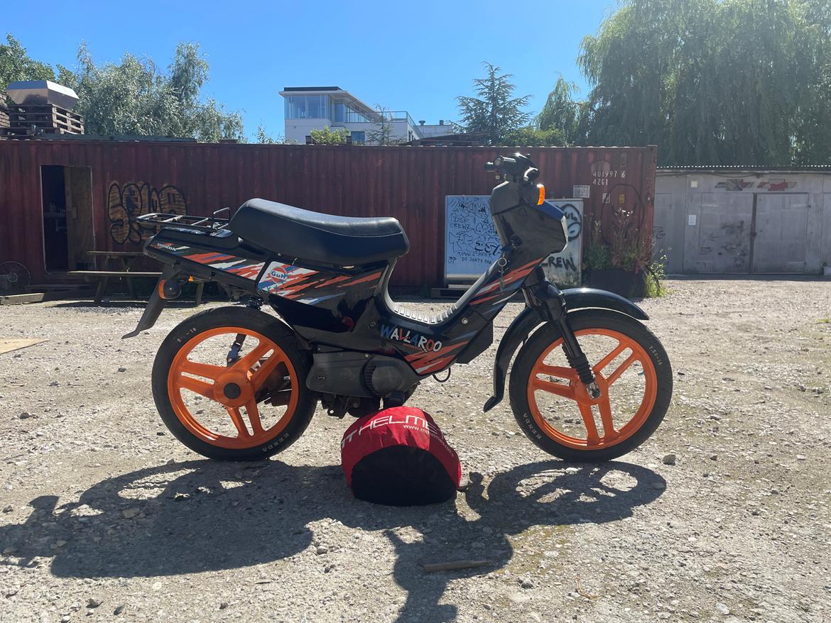 Honda Wallaroo PK50 Gulf billede 6