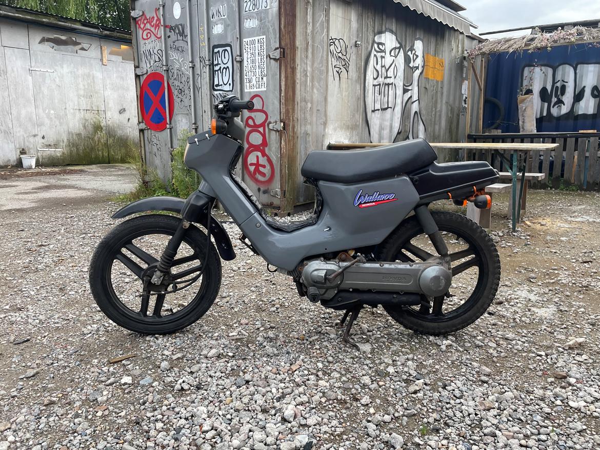 Honda Wallaroo PK50  billede 2