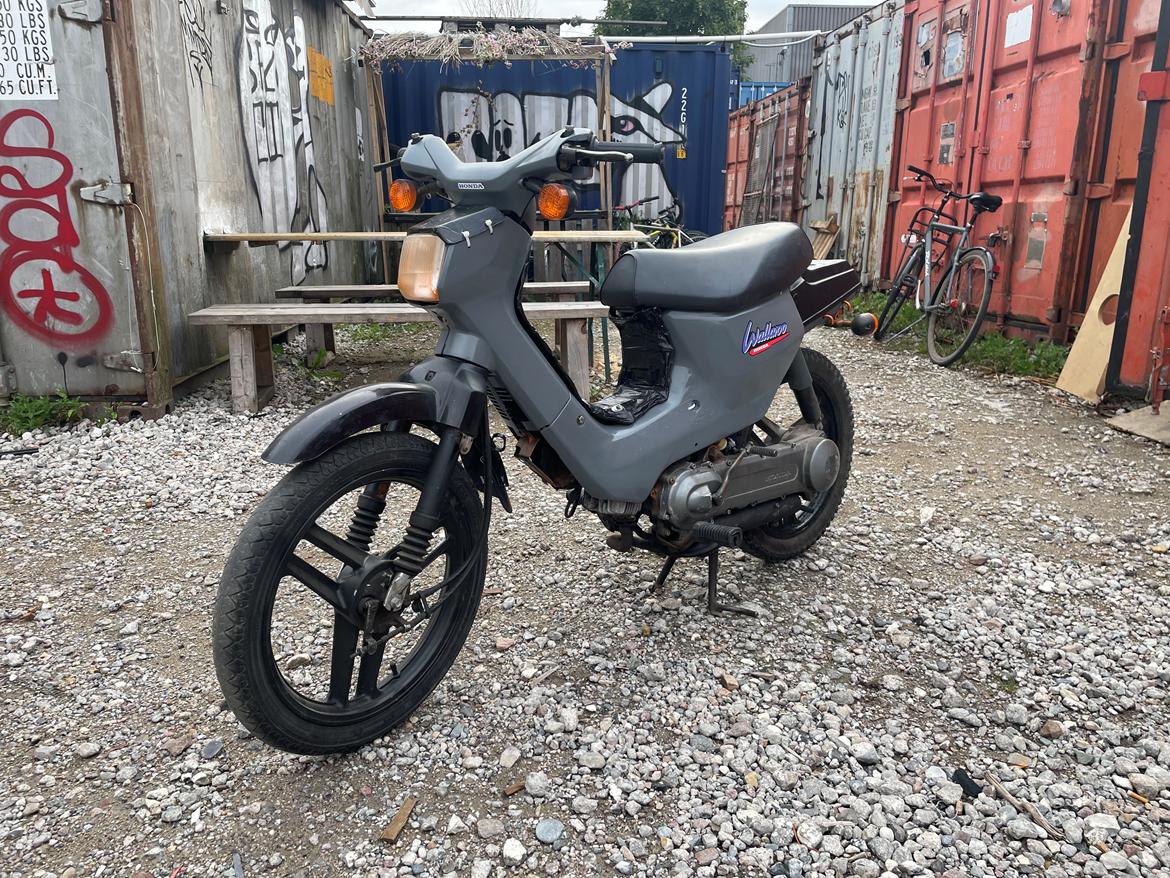 Honda Wallaroo PK50  billede 3