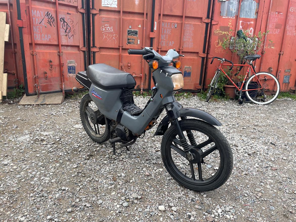 Honda Wallaroo PK50  billede 5