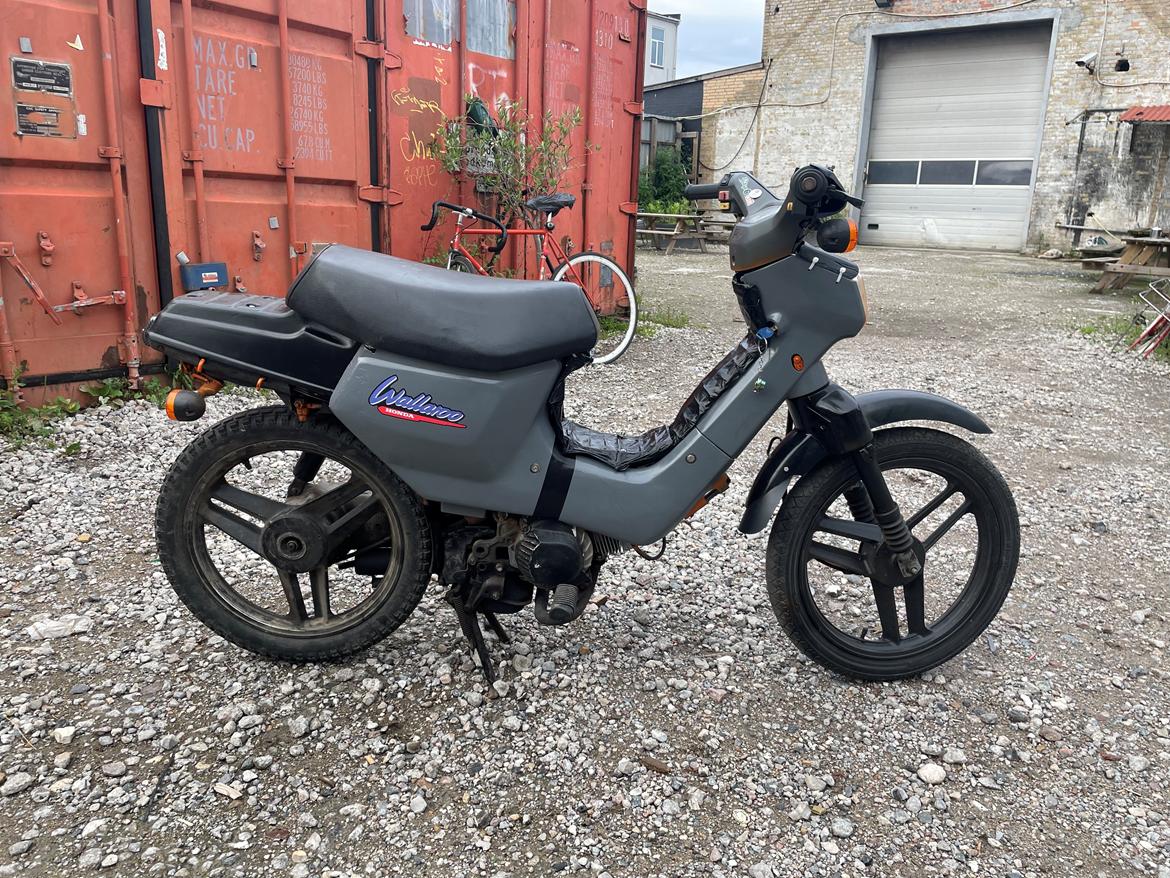 Honda Wallaroo PK50  billede 6