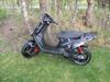 PGO Hot 50 SP