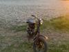 Suzuki fz50