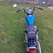 Regal dadyw regal raptor dd50qe-3