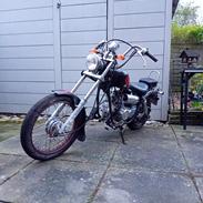 Regal Raptor ( Fandt hjem igen efter 5 år)