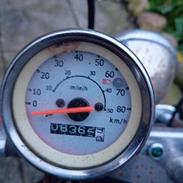 Regal Raptor ( Fandt hjem igen efter 5 år)