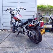 Regal Raptor ( Fandt hjem igen efter 5 år)