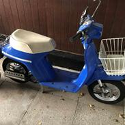 Honda Meldoy Mini "Kathrine"