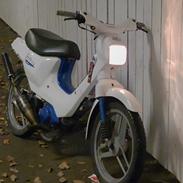 Honda Wallaroo PK50