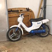 Honda Wallaroo PK50