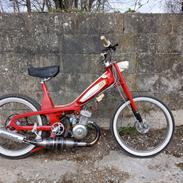 Motobecane 40T